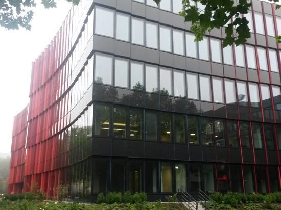 portfolio single project